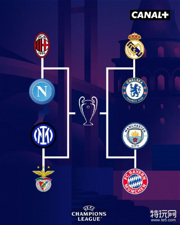 驱动轮尾轮衬块