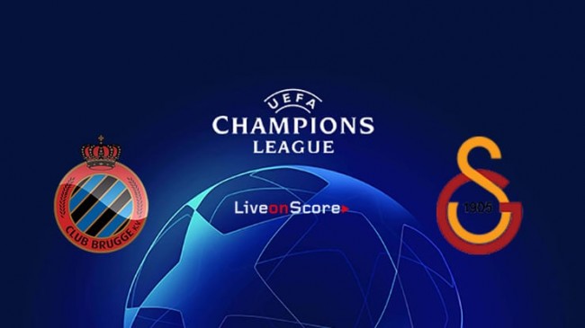 尾轮衬块及驱动轮衬块